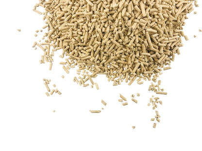 litière sans poussière